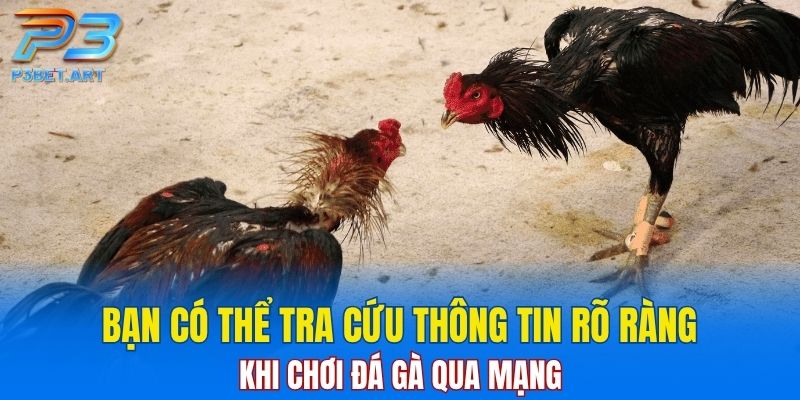 Bạn có thể tra cứu thông tin rõ ràng khi chơi đá gà qua mạng
