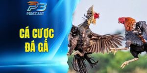 Cá cược đá gà