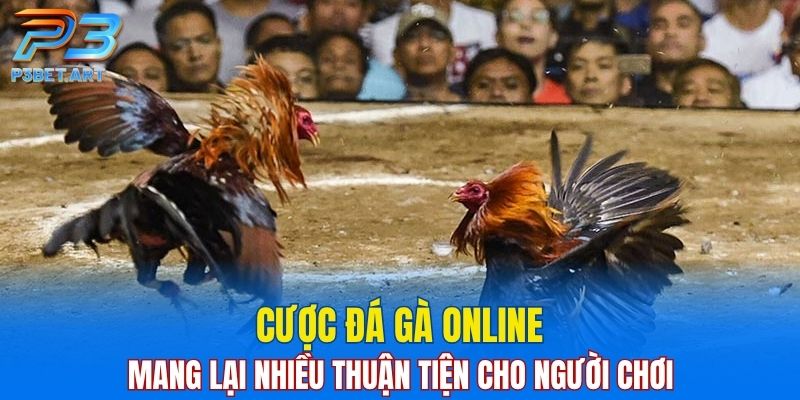 Cược đá gà online mang lại nhiều thuận tiện cho người chơi
