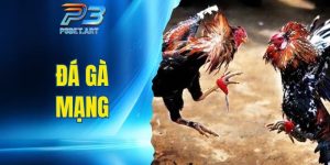 đá gà mạng