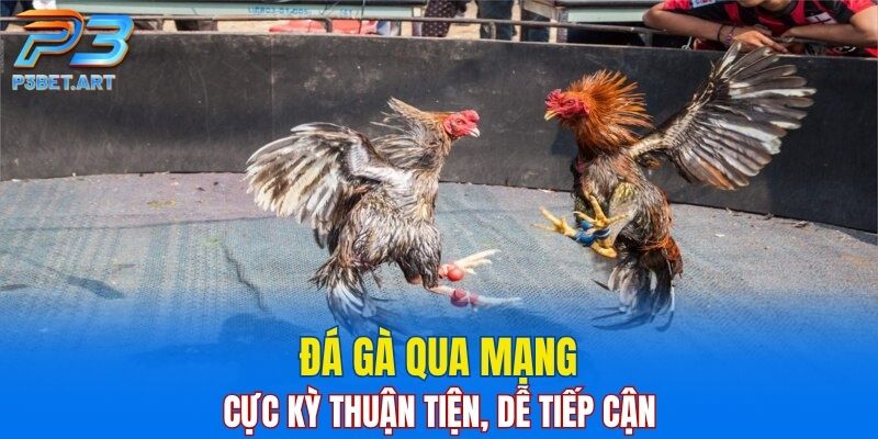 Đá gà qua mạng cực kỳ thuận tiện, dễ tiếp cận