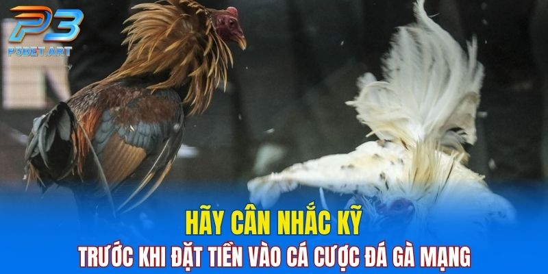 Hãy cân nhắc kỹ trước khi đặt tiền vào cá cược đá gà mạng
