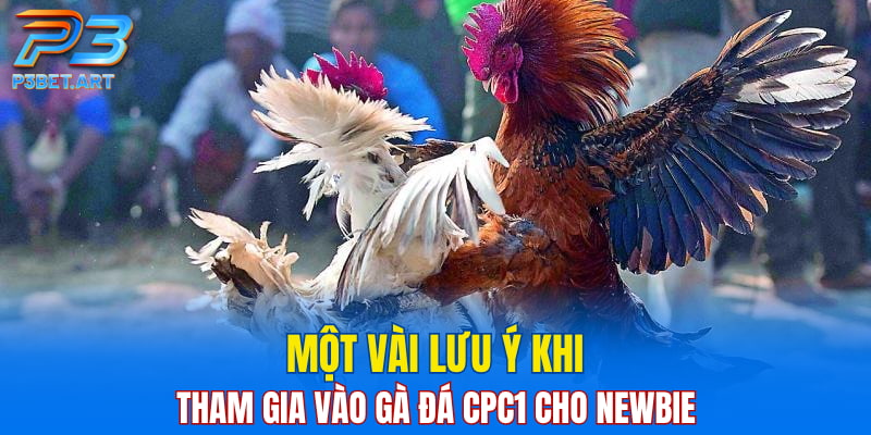 Một vài lưu ý khi tham gia vào gà đá CPC1 cho newbie
