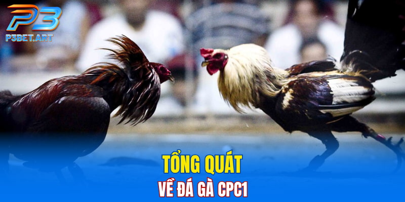 Tổng quát về đá gà CPC1